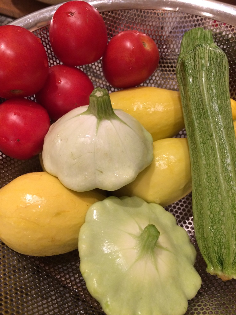 Perfect just picked summer squash and tomatoes